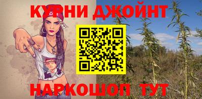 гашик Краснознаменск