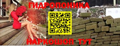 гашик Краснознаменск
