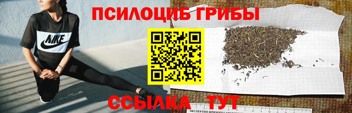 Галлюциногенные грибы мухоморы  Вход с VPN  Красногорск 